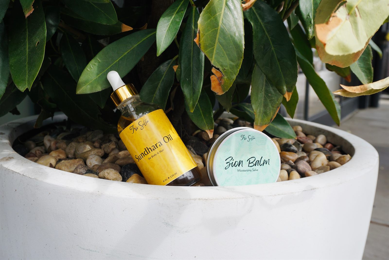 Irie Sattva oil and balm resting among greenery and botanicals